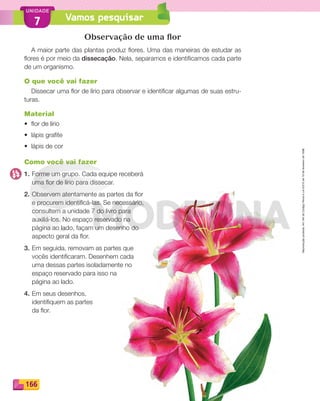 Reprodução
proibida.
Art.184
do
Código
Penal
e
Lei
9.610
de
19
de
fevereiro
de
1998.
166
UNIDADE
Vamos pesquisar
7
Observação de uma flor
A maior parte das plantas produz flores. Uma das maneiras de estudar as
flores é por meio da dissecação. Nela, separamos e identificamos cada parte
de um organismo.
O que você vai fazer
Dissecar uma flor de lírio para observar e identificar algumas de suas estru-
turas.
Material
• flor de lírio
• lápis grafite
• lápis de cor
Como você vai fazer
1. Forme um grupo. Cada equipe receberá
uma flor de lírio para dissecar.
2. Observem atentamente as partes da flor
e procurem identificá-las. Se necessário,
consultem a unidade 7 do livro para
auxiliá-los. No espaço reservado na
página ao lado, façam um desenho do
aspecto geral da flor.
3. Em seguida, removam as partes que
vocês identificaram. Desenhem cada
uma dessas partes isoladamente no
espaço reservado para isso na
página ao lado.
4. Em seus desenhos,
identifiquem as partes
da flor.
PDF_146-175-SA-BUCIE5-M.indd 166 11/1/13 4:26 PM
 