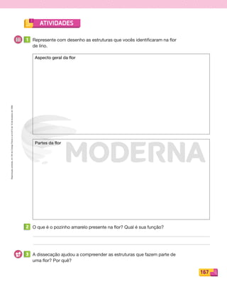 Reprodução
proibida.
Art.184
do
Código
Penal
e
Lei
9.610
de
19
de
fevereiro
de
1998.
167
ATIVIDADES
1 Represente com desenho as estruturas que vocês identificaram na flor
de lírio.
2 O que é o pozinho amarelo presente na flor? Qual é sua função?
3 A dissecação ajudou a compreender as estruturas que fazem parte de
uma flor? Por quê?
Aspecto geral da flor
Partes da flor
PDF_146-175-SA-BUCIE5-M.indd 167 11/1/13 4:26 PM
 