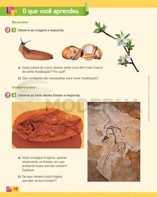 Reprodução
proibida.
Art.
184
do
Código
Penal
e
Lei
9.610
de
19
de
fevereiro
de
1998.
18
O que você aprendeu
Recordar
1 Observe as imagens e responda.
a) Quais partes do corpo desses seres vivos têm mais chance
de sofrer fossilização? Por quê?
b) Que condições são necessárias para haver fossilização?
Compreender
2 Observe as fotos destes fósseis e responda.
a) Você consegue imaginar, apenas
observando os fósseis, em que
ambiente esses animais viveram?
Explique.
b) De que maneira você imagina
que eles se locomoviam?
PDF_008-021-U1-BUCIE5-M.indd 18 10/30/13 6:35 PM
 
