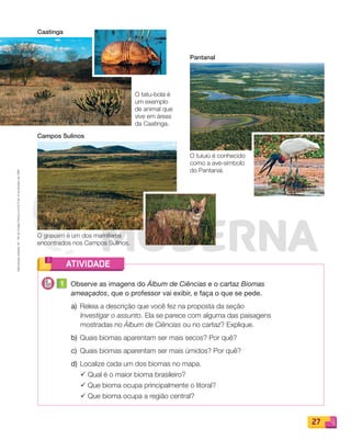 Reprodução
proibida.
Art.
184
do
Código
Penal
e
Lei
9.610
de
19
de
fevereiro
de
1998.
27
ATIVIDADE
1 Observe as imagens do Álbum de Ciências e o cartaz Biomas
ameaçados, que o professor vai exibir, e faça o que se pede.
a) Releia a descrição que você fez na proposta da seção
Investigar o assunto. Ela se parece com alguma das paisagens
mostradas no Álbum de Ciências ou no cartaz? Explique.
b) Quais biomas aparentam ser mais secos? Por quê?
c) Quais biomas aparentam ser mais úmidos? Por quê?
d) Localize cada um dos biomas no mapa.
¸ Qual é o maior bioma brasileiro?
¸ Que bioma ocupa principalmente o litoral?
¸ Que bioma ocupa a região central?
Caatinga
Campos Sulinos
Pantanal
O tatu-bola é
um exemplo
de animal que
vive em áreas
da Caatinga.
O graxaim é um dos mamíferos
encontrados nos Campos Sulinos.
O tuiuiú é conhecido
como a ave-símbolo
do Pantanal.
PDF_022-039-U2-BUCIE5-M.indd 27 11/1/13 5:45 PM
 