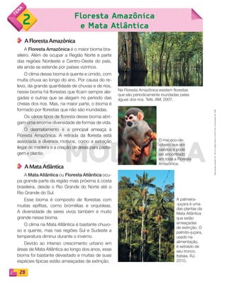 Reprodução
proibida.
Art.
184
do
Código
Penal
e
Lei
9.610
de
19
de
fevereiro
de
1998.
28
Floresta Amazônica
e Mata Atlântica
2
A Floresta Amazônica
A Floresta Amazônica é o maior bioma bra-
sileiro. Além de ocupar a Região Norte e parte
das regiões Nordeste e Centro-Oeste do país,
ela ainda se estende por países vizinhos.
O clima desse bioma é quente e úmido, com
muita chuva ao longo do ano. Por causa do re-
levo, da grande quantidade de chuvas e de rios,
nesse bioma há florestas que ficam sempre ala-
gadas e outras que se alagam no período das
cheias dos rios. Mas, na maior parte, o bioma é
formado por florestas que não são inundadas.
Os vários tipos de floresta desse bioma abri-
gam uma enorme diversidade de formas de vida.
O desmatamento é a principal ameaça à
Floresta Amazônica. A retirada da floresta está
associada a diversos motivos, como a extração
ilegal de madeira e a criação de áreas para pasta-
gem e plantio.
A Mata Atlântica
A Mata Atlântica ou Floresta Atlântica ocu-
pa grande parte da região mais próxima à costa
brasileira, desde o Rio Grande do Norte até o
Rio Grande do Sul.
Esse bioma é composto de florestas com
muitas epífitas, como bromélias e orquídeas.
A diversidade de seres vivos também é muito
grande nesse bioma.
O clima na Mata Atlântica é bastante chuvo-
so e quente, mas nas regiões Sul e Sudeste a
temperatura diminui durante o inverno.
Devido ao intenso crescimento urbano em
áreas de Mata Atlântica ao longo dos anos, esse
bioma foi bastante devastado e muitas de suas
espécies típicas estão ameaçadas de extinção.
Na Floresta Amazônica existem florestas
que são periodicamente inundadas pelas
águas dos rios. Tefé, AM, 2007.
O macaco-de-
-cheiro vive em
bandos e pode
ser encontrado
em toda a Floresta
Amazônica.
A palmeira-
-juçara é uma
das plantas da
Mata Atlântica
que estão
ameaçadas
de extinção. O
palmito-juçara,
usado na
alimentação,
é extraído de
seu tronco.
Itatiaia, RJ,
2010.
PDF_022-039-U2-BUCIE5-M.indd 28 11/1/13 5:45 PM
 