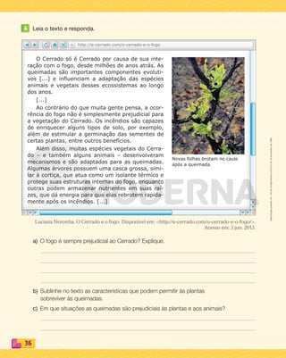 Reprodução
proibida.
Art.
184
do
Código
Penal
e
Lei
9.610
de
19
de
fevereiro
de
1998.
36
4 Leia o texto e responda.
Luciana Noronha. O Cerrado e o fogo. Disponível em: http://e-cerrado.com/o-cerrado-e-o-fogo/.
Acesso em: 3 jun. 2013.
a) O fogo é sempre prejudicial ao Cerrado? Explique.
b) Sublinhe no texto as características que podem permitir às plantas
sobreviver às queimadas.
c) Em que situações as queimadas são prejudiciais às plantas e aos animais?
O Cerrado só é Cerrado por causa de sua inte-
ração com o fogo, desde milhões de anos atrás. As
queimadas são importantes componentes evoluti-
vos [...] e influenciam a adaptação das espécies
animais e vegetais desses ecossistemas ao longo
dos anos.
[...]
Ao contrário do que muita gente pensa, a ocor-
rência do fogo não é simplesmente prejudicial para
a vegetação do Cerrado. Os incêndios são capazes
de enriquecer alguns tipos de solo, por exemplo,
além de estimular a germinação das sementes de
certas plantas, entre outros benefícios.
Além disso, muitas espécies vegetais do Cerra-
do – e também alguns animais – desenvolveram
mecanismos e são adaptadas para as queimadas.
Algumas árvores possuem uma casca grossa, simi-
lar à cortiça, que atua como um isolante térmico e
protege suas estruturas internas do fogo, enquanto
outras podem armazenar nutrientes em suas raí-
zes, que dá energia para que elas rebrotem rapida-
mente após os incêndios. [...]
http://e-cerrado.com/o-cerrado-e-o-fogo
Novas folhas brotam no caule
após a queimada.
PDF_022-039-U2-BUCIE5-M.indd 36 11/1/13 5:47 PM
 