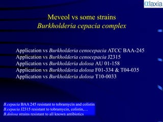 Meveol vs some strains
                   Burkholderia cepacia complex


       Application vs Burkholderia cenocepacia ATCC BAA-245
       Application vs Burkholderia cenocepacia J2315
       Application vs Burkholderia dolosa AU 01-158
       Application vs Burkholderia dolosa F01-334 & T04-035
       Application vs Burkholderia dolosa T10-0033




B.cepacia BAA 245 resistant to tobramycin and colistin
B.cepacia J2315 resistant to tobramycin, colistin,…
B.dolosa strains resistant to all known antibiotics
 