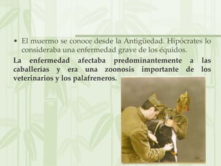 • El muermo se conoce desde la Antigüedad. Hipócrates lo
consideraba una enfermedad grave de los équidos.
La enfermedad afectaba predominantemente a las
caballerías y era una zoonosis importante de los
veterinarios y los palafreneros.
 