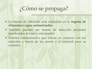¿Cómo se propaga?
• La fuente de infección más extendida es la ingesta de
alimentos o agua contaminados.
• También pueden ser fuente de infección aerosoles
(producidos al toser y estornudar)
• Fomites contaminados que entran en contacto con los
animales a través de los arreos y el material para su
cuidado.
 