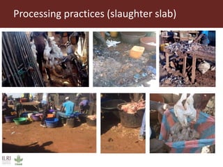 Value chain assessment of animal source foods and vegetables in Ouagadougou, Burkina Faso: Food safety, quality and hygiene perceptions and practices