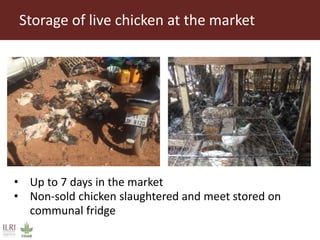 Value chain assessment of animal source foods and vegetables in Ouagadougou, Burkina Faso: Food safety, quality and hygiene perceptions and practices