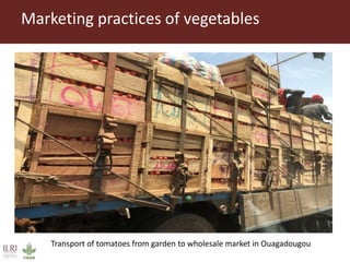 Value chain assessment of animal source foods and vegetables in Ouagadougou, Burkina Faso: Food safety, quality and hygiene perceptions and practices