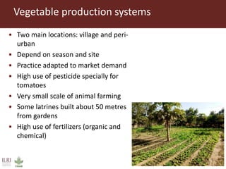 Value chain assessment of animal source foods and vegetables in Ouagadougou, Burkina Faso: Food safety, quality and hygiene perceptions and practices