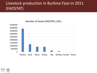 Value chain assessment of animal source foods and vegetables in Ouagadougou, Burkina Faso: Food safety, quality and hygiene perceptions and practices