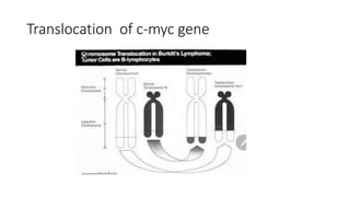 Translocation of c-myc gene
 