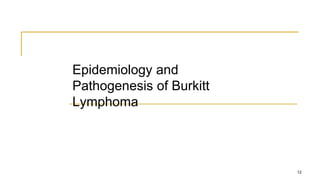 Epidemiology and
Pathogenesis of Burkitt
Lymphoma
12
 