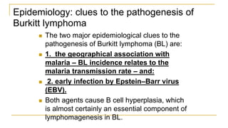Epidemiology: clues to the pathogenesis of
Burkitt lymphoma
 The two major epidemiological clues to the
pathogenesis of Burkitt lymphoma (BL) are:
 1. the geographical association with
malaria – BL incidence relates to the
malaria transmission rate – and:
 2. early infection by Epstein–Barr virus
(EBV).
 Both agents cause B cell hyperplasia, which
is almost certainly an essential component of
lymphomagenesis in BL.
 