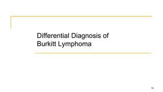 Differential Diagnosis of
Burkitt Lymphoma
54
 