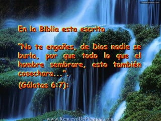 En la Biblia esta escrito “ No te engañes, de Dios nadie se burla, por que todo lo que el hombre sembrare, esto también cosechara...&quot;.   (Gálatas 6:7):   En la Biblia esta escrito “ No te engañes, de Dios nadie se burla, por que todo lo que el hombre sembrare, esto también cosechara...&quot;.   (Gálatas 6:7):   www.RenuevoDePlenitud.com 