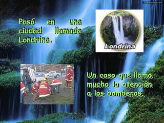 Pasó   en una ciudad llamada Londrina. Un caso que llamo mucho la atención a los bomberos. Pasó   en una ciudad llamada Londrina. Un caso que llamo mucho la atención a los bomberos. 
