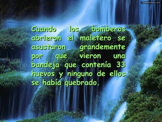 Cuando los bomberos abrieron el maletero se asustaron grandemente por que vieron una bandeja que contenía 33 huevos y ninguno de ellos se había quebrado.   