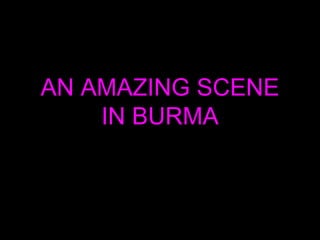 AN AMAZING SCENE IN BURMA 