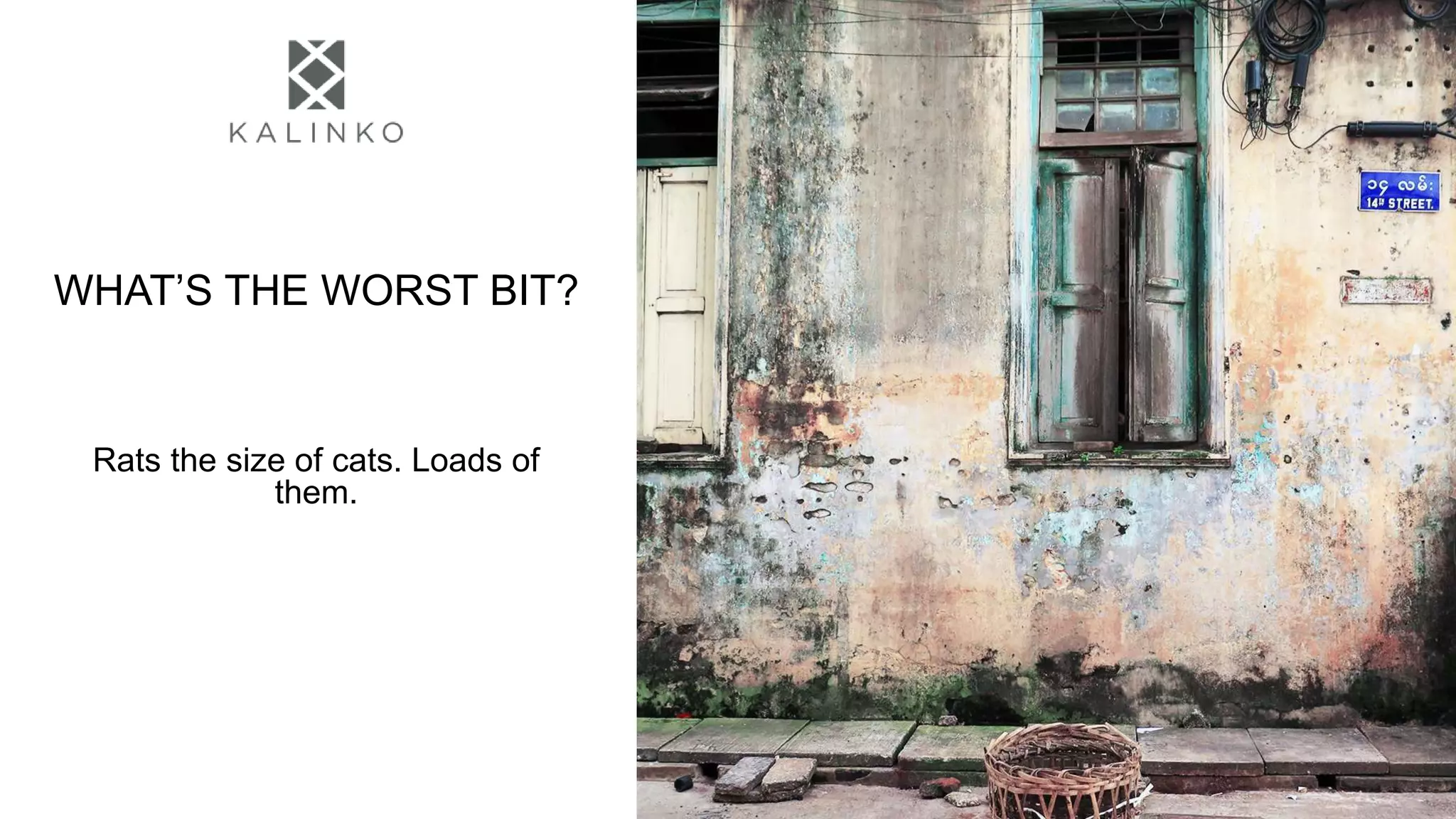 WHAT’S THE WORST BIT?
Rats the size of cats. Loads of
them.
 