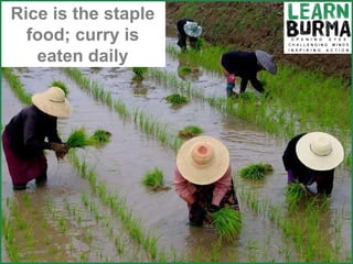 Rice is the staple food; curry is eaten daily 