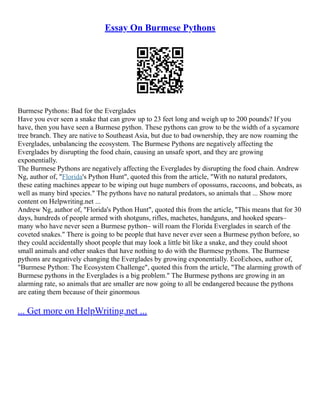 Essay On Burmese Pythons
Burmese Pythons: Bad for the Everglades
Have you ever seen a snake that can grow up to 23 feet long and weigh up to 200 pounds? If you
have, then you have seen a Burmese python. These pythons can grow to be the width of a sycamore
tree branch. They are native to Southeast Asia, but due to bad ownership, they are now roaming the
Everglades, unbalancing the ecosystem. The Burmese Pythons are negatively affecting the
Everglades by disrupting the food chain, causing an unsafe sport, and they are growing
exponentially.
The Burmese Pythons are negatively affecting the Everglades by disrupting the food chain. Andrew
Ng, author of, "Florida's Python Hunt", quoted this from the article, "With no natural predators,
these eating machines appear to be wiping out huge numbers of opossums, raccoons, and bobcats, as
well as many bird species." The pythons have no natural predators, so animals that ... Show more
content on Helpwriting.net ...
Andrew Ng, author of, "Florida's Python Hunt", quoted this from the article, "This means that for 30
days, hundreds of people armed with shotguns, rifles, machetes, handguns, and hooked spears–
many who have never seen a Burmese python– will roam the Florida Everglades in search of the
coveted snakes." There is going to be people that have never ever seen a Burmese python before, so
they could accidentally shoot people that may look a little bit like a snake, and they could shoot
small animals and other snakes that have nothing to do with the Burmese pythons. The Burmese
pythons are negatively changing the Everglades by growing exponentially. EcoEchoes, author of,
"Burmese Python: The Ecosystem Challenge", quoted this from the article, "The alarming growth of
Burmese pythons in the Everglades is a big problem." The Burmese pythons are growing in an
alarming rate, so animals that are smaller are now going to all be endangered because the pythons
are eating them because of their ginormous
... Get more on HelpWriting.net ...
 