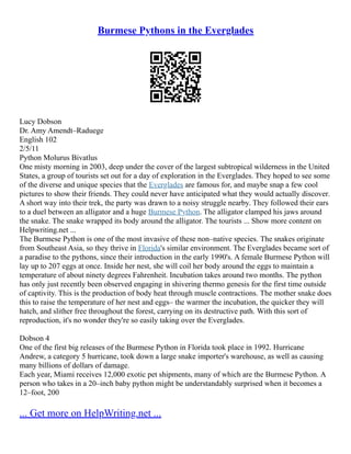 Burmese Pythons in the Everglades
Lucy Dobson
Dr. Amy Amendt–Raduege
English 102
2/5/11
Python Molurus Bivatlus
One misty morning in 2003, deep under the cover of the largest subtropical wilderness in the United
States, a group of tourists set out for a day of exploration in the Everglades. They hoped to see some
of the diverse and unique species that the Everglades are famous for, and maybe snap a few cool
pictures to show their friends. They could never have anticipated what they would actually discover.
A short way into their trek, the party was drawn to a noisy struggle nearby. They followed their ears
to a duel between an alligator and a huge Burmese Python. The alligator clamped his jaws around
the snake. The snake wrapped its body around the alligator. The tourists ... Show more content on
Helpwriting.net ...
The Burmese Python is one of the most invasive of these non–native species. The snakes originate
from Southeast Asia, so they thrive in Florida's similar environment. The Everglades became sort of
a paradise to the pythons, since their introduction in the early 1990's. A female Burmese Python will
lay up to 207 eggs at once. Inside her nest, she will coil her body around the eggs to maintain a
temperature of about ninety degrees Fahrenheit. Incubation takes around two months. The python
has only just recently been observed engaging in shivering thermo genesis for the first time outside
of captivity. This is the production of body heat through muscle contractions. The mother snake does
this to raise the temperature of her nest and eggs– the warmer the incubation, the quicker they will
hatch, and slither free throughout the forest, carrying on its destructive path. With this sort of
reproduction, it's no wonder they're so easily taking over the Everglades.
Dobson 4
One of the first big releases of the Burmese Python in Florida took place in 1992. Hurricane
Andrew, a category 5 hurricane, took down a large snake importer's warehouse, as well as causing
many billions of dollars of damage.
Each year, Miami receives 12,000 exotic pet shipments, many of which are the Burmese Python. A
person who takes in a 20–inch baby python might be understandably surprised when it becomes a
12–foot, 200
... Get more on HelpWriting.net ...
 