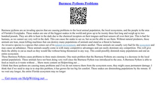 Burmese Pythons Problems | PPT