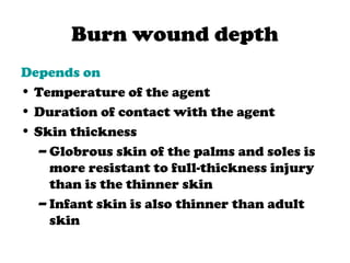Burn wound depth
Depends on
• Temperature of the agent
• Duration of contact with the agent
• Skin thickness
– Globrous skin of the palms and soles is
more resistant to full-thickness injury
than is the thinner skin
– Infant skin is also thinner than adult
skin
 