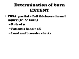 Determination of burn
EXTENT
• TBSA: partial + full thickness dermal
injury (2rd
+3nd
burn)
– Rule of 9
– Patient’s hand = 1%
– Lund and browder charts
 