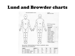 Lund and Browder charts
 
