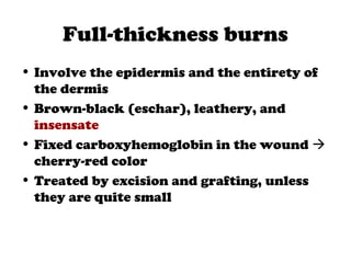 Full-thickness burns
• Involve the epidermis and the entirety of
the dermis
• Brown-black (eschar), leathery, and
insensate
• Fixed carboxyhemoglobin in the wound 
cherry-red color
• Treated by excision and grafting, unless
they are quite small
 