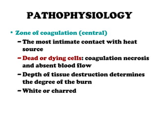 PATHOPHYSIOLOGY
• Zone of coagulation (central)
– The most intimate contact with heat
source
– Dead or dying cells: coagulation necrosis
and absent blood flow
– Depth of tissue destruction determines
the degree of the burn
– White or charred
 
