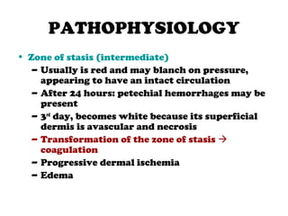 PATHOPHYSIOLOGY
• Zone of stasis (intermediate)
– Usually is red and may blanch on pressure,
appearing to have an intact circulation
– After 24 hours: petechial hemorrhages may be
present
– 3rd
day, becomes white because its superficial
dermis is avascular and necrosis
– Transformation of the zone of stasis 
coagulation
– Progressive dermal ischemia
– Edema
 