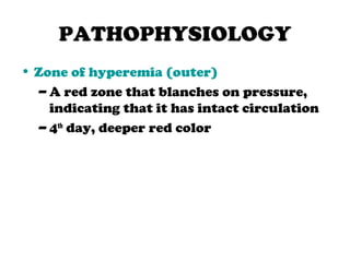 PATHOPHYSIOLOGY
• Zone of hyperemia (outer)
– A red zone that blanches on pressure,
indicating that it has intact circulation
– 4th
day, deeper red color
 