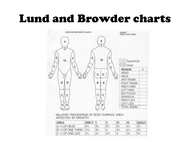 Body Burn Chart