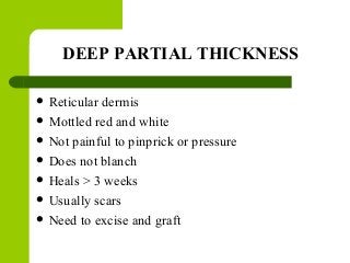 DEEP PARTIAL THICKNESS
 Reticular dermis
 Mottled red and white
 Not painful to pinprick or pressure
 Does not blanch
 Heals > 3 weeks
 Usually scars
 Need to excise and graft
 