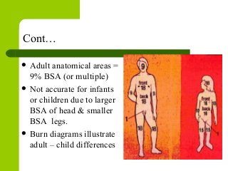 Cont…
 Adult anatomical areas =
9% BSA (or multiple)
 Not accurate for infants
or children due to larger
BSA of head & smaller
BSA legs.
 Burn diagrams illustrate
adult – child differences
 