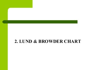 2. LUND & BROWDER CHART
 