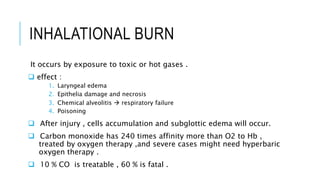 Burn | PPTX