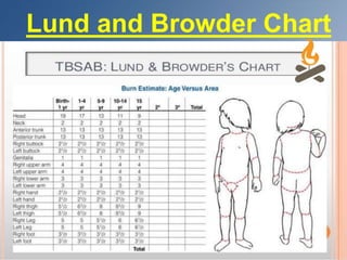 Lund and Browder Chart
 