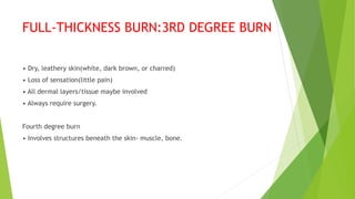 FULL-THICKNESS BURN:3RD DEGREE BURN
• Dry, leathery skin(white, dark brown, or charred)
• Loss of sensation(little pain)
• All dermal layers/tissue maybe involved
• Always require surgery.
Fourth degree burn
• Involves structures beneath the skin- muscle, bone.
 