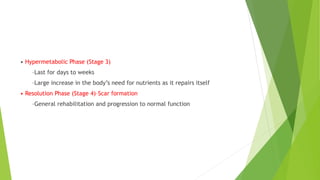 • Hypermetabolic Phase (Stage 3)
–Last for days to weeks
–Large increase in the body’s need for nutrients as it repairs itself
• Resolution Phase (Stage 4)–Scar formation
–General rehabilitation and progression to normal function
 