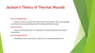 Jackson’s Theory of Thermal Wounds
– Zone of Coagulation
• Area in a burn nearest the heat source that suffers the most damage
as evidenced by clotted blood and thrombosed blood vessels
– Zone of Stasis
• Area surrounding zone of coagulation characterized by decreased
blood flow.
– Zone of Hyperaemia
• Peripheral area around burn that has an increased blood flow
 