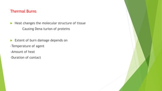 Thermal Burns
 Heat changes the molecular structure of tissue
Causing Dena turion of proteins
 Extent of burn damage depends on
–Temperature of agent
–Amount of heat
–Duration of contact
 