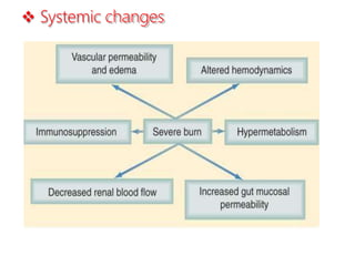  Systemic changes
 