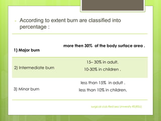 Burn | PDF
