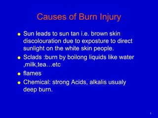 Sun Burn Injuries Burn | PPT