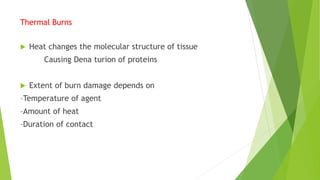 Thermal Burns
 Heat changes the molecular structure of tissue
Causing Dena turion of proteins
 Extent of burn damage depends on
–Temperature of agent
–Amount of heat
–Duration of contact
 