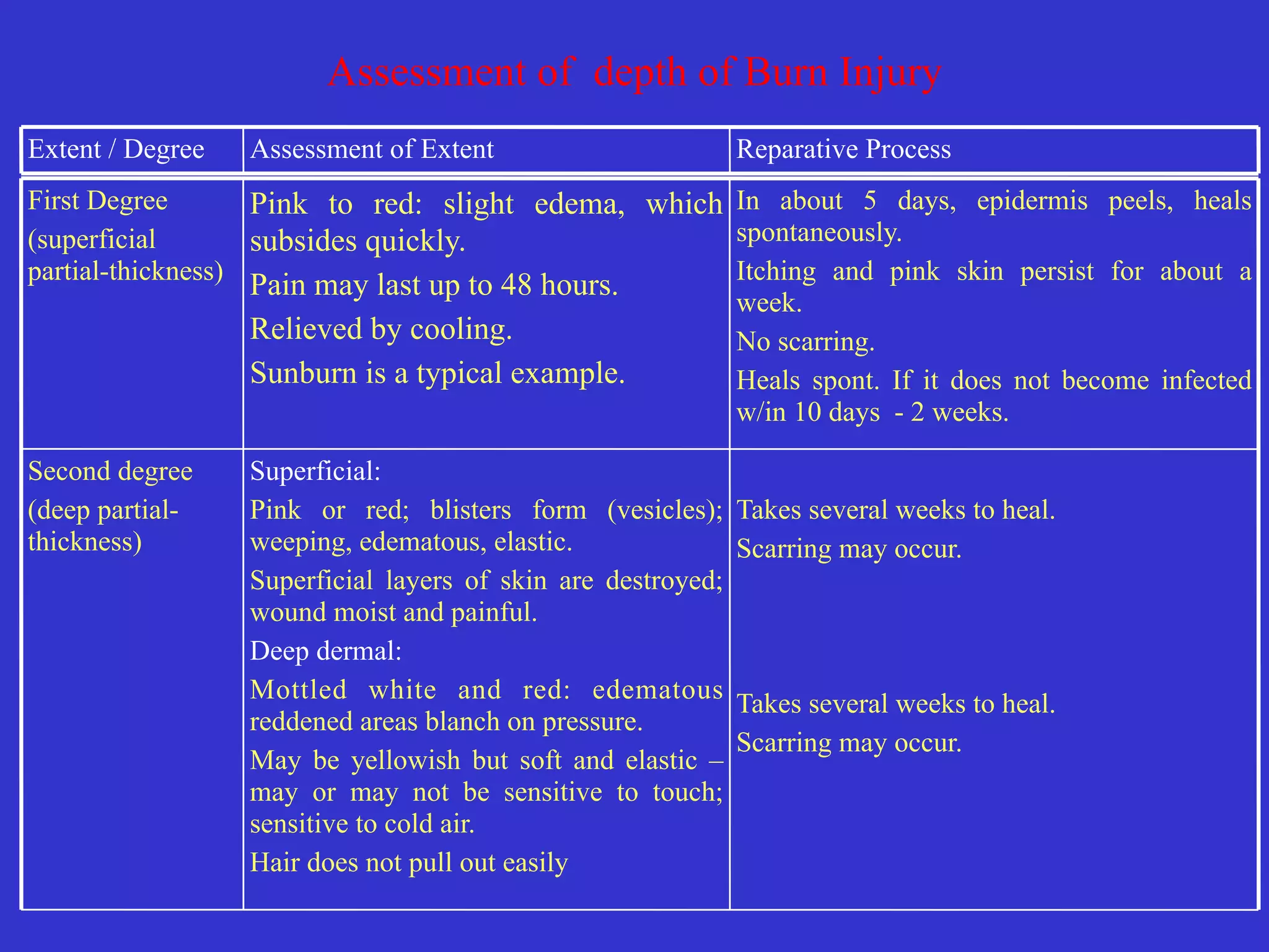 Assessment of depth of Burn Injury
Takes several weeks to heal.


Scarring may occur.


Takes several weeks to heal.


Scarring may occur.


Superficial:


Pink or red; blisters form (vesicles);
weeping, edematous, elastic.


Superficial layers of skin are destroyed;
wound moist and painful.


Deep dermal:


Mottled white and red: edematous
reddened areas blanch on pressure.


May be yellowish but soft and elastic –
may or may not be sensitive to touch;
sensitive to cold air.


Hair does not pull out easily
Second degree


(deep partial-
thickness)
In about 5 days, epidermis peels, heals
spontaneously.


Itching and pink skin persist for about a
week.


No scarring.


Heals spont. If it does not become infected
w/in 10 days - 2 weeks.
Pink to red: slight edema, which
subsides quickly.


Pain may last up to 48 hours.


Relieved by cooling.


Sunburn is a typical example.
First Degree


(superficial
partial-thickness)
Reparative Process
Assessment of Extent
Extent / Degree
 