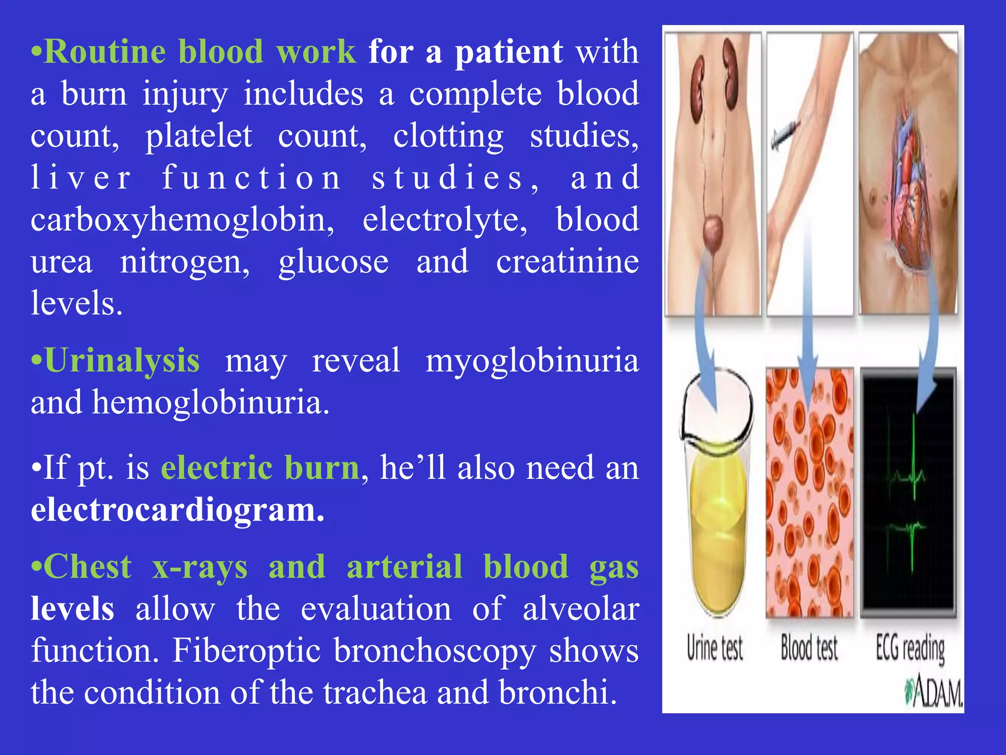 •Routine blood work for a patient with
a burn injury includes a complete blood
count, platelet count, clotting studies,
l i v e r f u n c t i o n s t u d i e s , a n d
carboxyhemoglobin, electrolyte, blood
urea nitrogen, glucose and creatinine
levels.


•Urinalysis may reveal myoglobinuria
and hemoglobinuria.


•If pt. is electric burn, he’ll also need an
electrocardiogram.


•Chest x-rays and arterial blood gas
levels allow the evaluation of alveolar
function. Fiberoptic bronchoscopy shows
the condition of the trachea and bronchi.
 